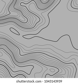 Topographic map background. Grid map. Vector illustration .