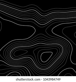 Topographic map background. Grid map. Vector illustration .