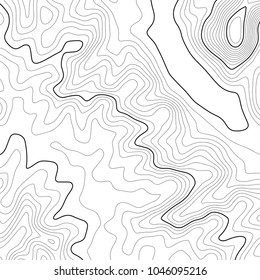 Topographic Map Background Grid Map Vector Stock Vector (Royalty Free ...