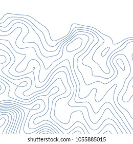 Topographic map background. Grid map. Vector illustration.