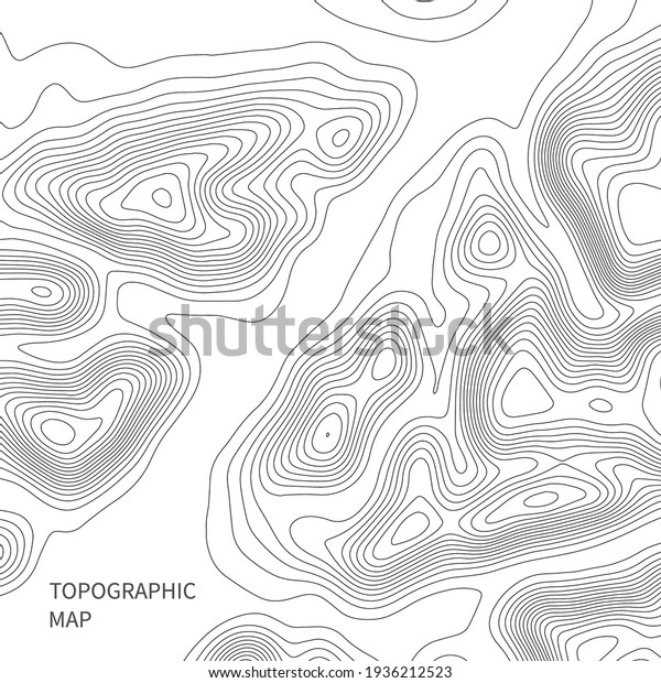 Topographic map\
background. Line topography map contour background, geographic\
grid. Abstract vector\
illustration.