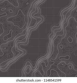 Topographic map background. Linear map. Vector Image EPS10