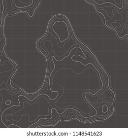Topographic map background. Linear map. Vector Image EPS10