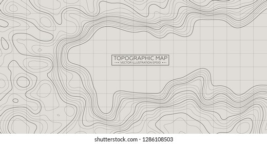 Topographic map background. Linear map. Vector Image EPS10