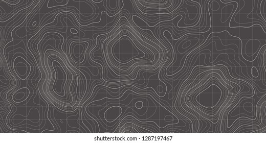 Topographic map background. Linear map. Vector Image EPS10