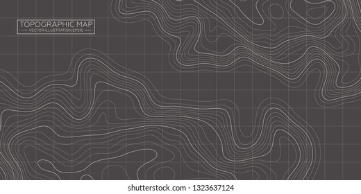 Topographic map background. Linear map. Vector Image EPS10