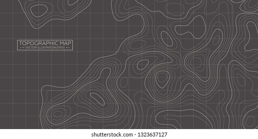 Topographic map background. Linear map. Vector Image EPS10