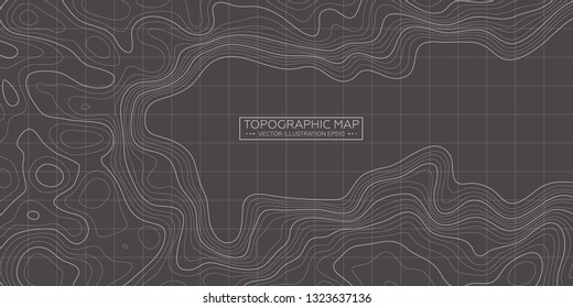 Topographic map background. Linear map. Vector Image EPS10