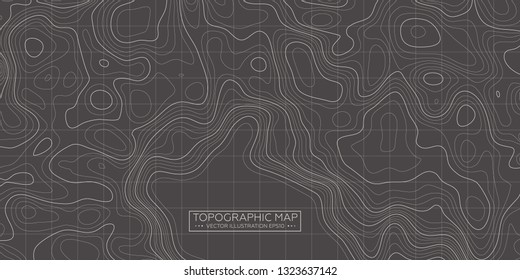 Topographic map background. Linear map. Vector Image EPS10