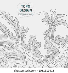 Topographic map background with space for copy. Contour elevation topographic vector map. Geographic grid abstract vector illustration. Mountain, cartography, earth, nature, travel concept. Wireframe