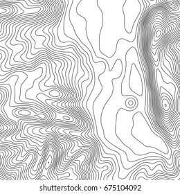 Topographic map background with space for copy . Line topography map contour background , geographic grid abstract vector illustration . Abstract geometric lines .