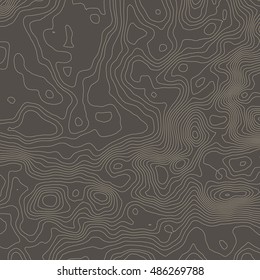 Topographic map background with space for your copy