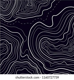 topographic map background vector