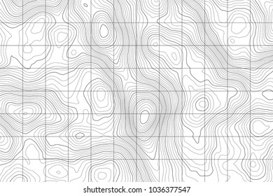 Topographic map background. Vector abstract illustration. Geography concept.