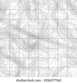 Topographic map background. Vector abstract illustration. Geography concept.
