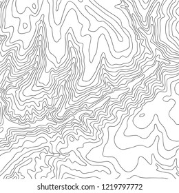 Topographic map, black line on white, vector