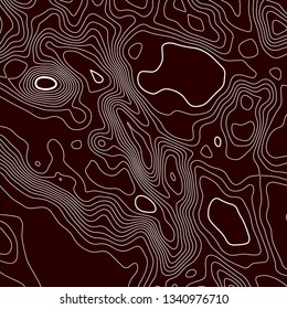 Topographic map. Black lines on white background. Contour abstract background. Vector illustration.