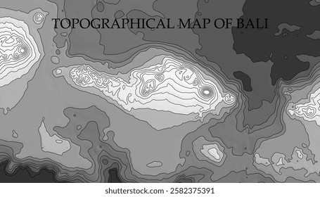 Topographic map in black and white. Geographic relief of mountains and ocean floor in vector illustration. Texture of topographic image. Graphic contour lines of height. Bali, Indonesia culture, volca