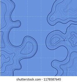 topographic map, blue background, abstract lines vector illustration, grid