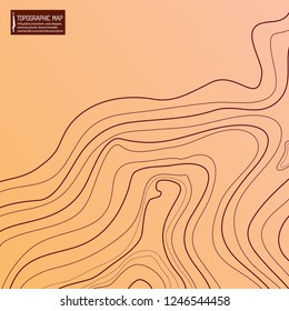 topographic map, brown background, vector