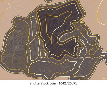 Topographic map colorful abstract background with contour altitude lines. The stylized height of the topographic map contour in lines and contours. 
