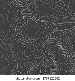 Topographic map. Contour abstract background. Vector illustration.