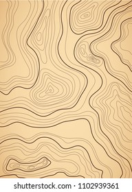 topographic map, contour, abstract , vector illustration