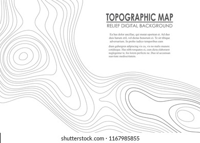 Topographic map contour background.  Line map with elevation. Geographic World Topography map grid abstract vector illustration.