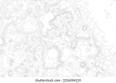 Topographic map contour background. Topo map with elevation. Contour map vector. Geographic World Topography map grid abstract vector illustration .