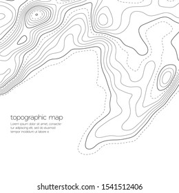 Topographic Map Background Space Copy Line Stock Vector (Royalty Free ...