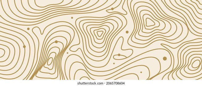 contorno de mapa topográfico en fondo vectorial de ilustración de línea y contorno. Concepto de una geografía y el camino del terreno en el mapa.