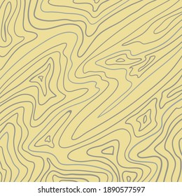 Topographic map contour vector mountains. Relief background. Contour map of the area. Vector outline background