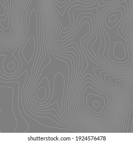 Topographic Map Elevation Lines. Contour Vector Abstract Vector Illustration. Geographic World Topography.