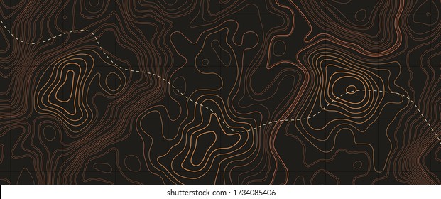 Topographic map. Geographic contour map background. Vector illustration.