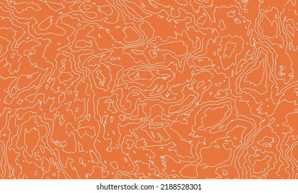 Topographic map. Geographic contour map background. Vector illustration.