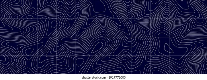 Topographic map. Geographic mountain relief. Abstract lines background. Contour maps. Vector illustration.