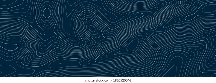 Topographic map. Geographic mountain relief. Abstract lines background. Contour maps. Vector illustration. - Shutterstock ID 1920520346