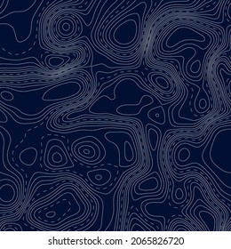 Topographic map. Geographic mountain relief. Abstract lines background. Contour maps. Vector illustration.