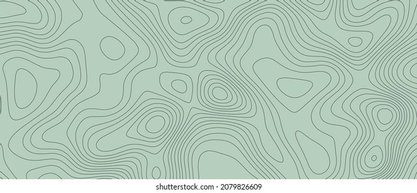 Topographic map. Geographic mountain relief. Abstract lines background. Contour maps. Vector illustration.