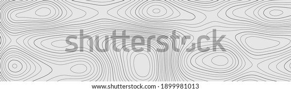 Topographic map. Geographic
mountain relief. Abstract lines background. Contour maps. Vector
illustration.