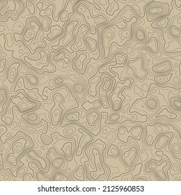 Topographic map. Geographical background of the relief. Contour maps. Terrain. Vector illustration.
