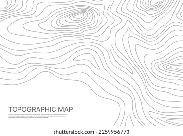 Topographic map, grid, texture, relief contour. Ocean or sea surface monochrome curve lines. Abstract vector background with geographic topology structure. Topo territory cartography with wavy stripes - Shutterstock ID 2259956773