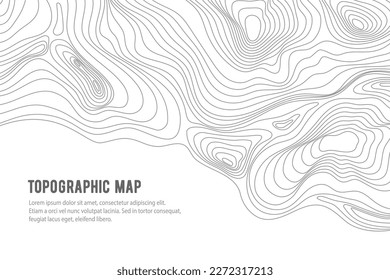Topographic map, grid, texture, relief contour of terrain. Vector pattern background with mountains and flat land wavy line contours. Abstract monochrome topographic map, topography, cartography theme svg