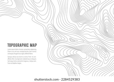 Topographic map. Grid, texture, relief contour. Sea navigation contour backdrop, ocean or land territory topography vector graphic background or cartography contour topographical pattern wallpaper svg