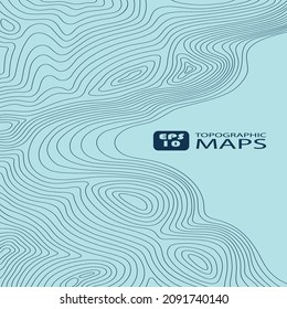 topographic map of the Gulf of the sea on a light blue background of dark blue lines