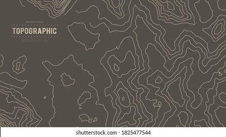 Topographic map height abstract polygonal land. Mountain topographic contour in lines and contours. Surface map of mountain future. Stripes landscape descripting data maps. 