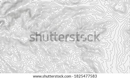 Topographic map height abstract polygonal land. Mountain topographic contour in lines and contours. Surface map of mountain future. Stripes landscape descripting data maps. 