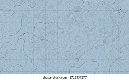 topographic map illustration, abstract height lines isolated on blue background vector