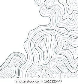 topographic map, landscape, abstract height lines isolated on white background vector