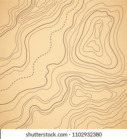 topographic map, light brown background, abstract illustration , view from height, vector illustration